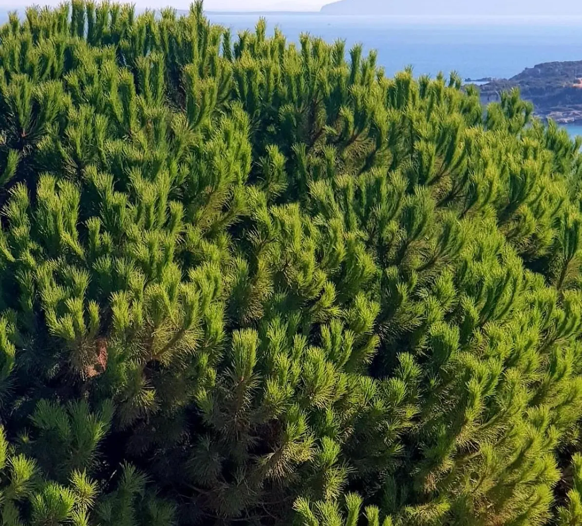 North Wind Hotels - Karaburun Karaburun  Türkei
